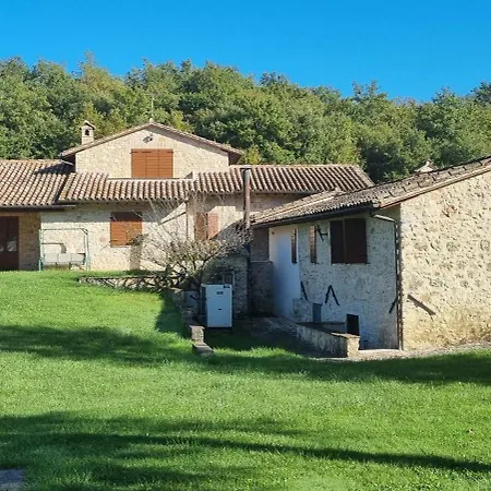 Il Vignale