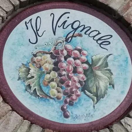 Venkovský dům Il Vignale