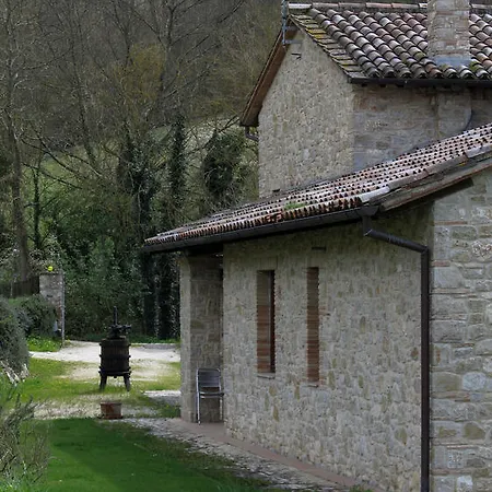 Il Vignale