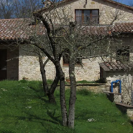 Country house Il Vignale *