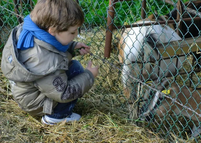 Casa di campagna Il Vignale