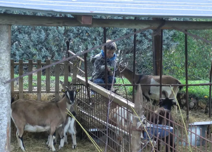 Casa di campagna Il Vignale