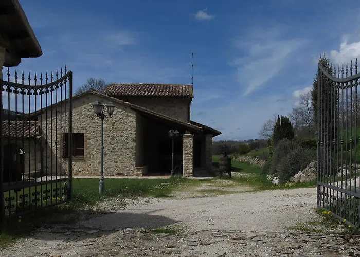 Il Vignale Massa Martana